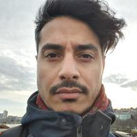 Отзыв от Леонид - DTV виза